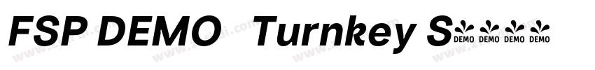 FSP DEMO   Turnkey S字体转换